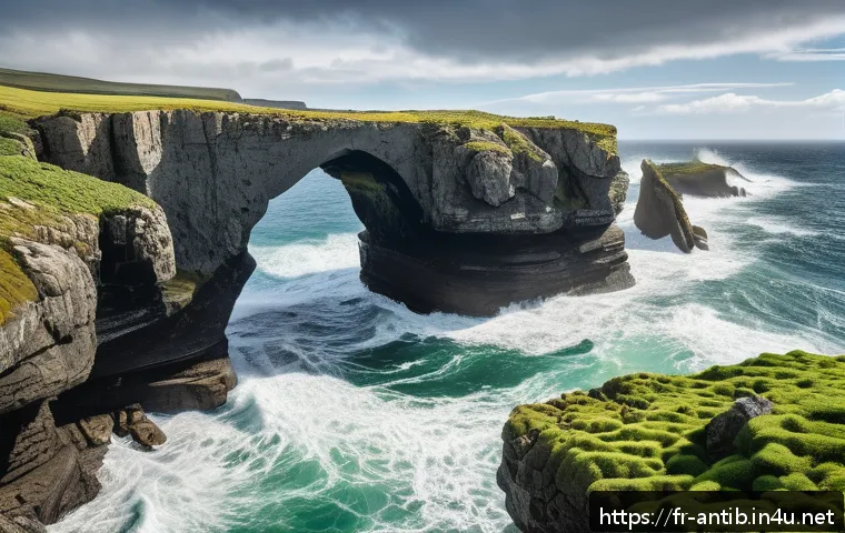 앤티가 바부다 데블스 브릿지 - A dramatic coastal scene featuring the Devils Bridge natural rock arch carved by powerful Atlantic w...